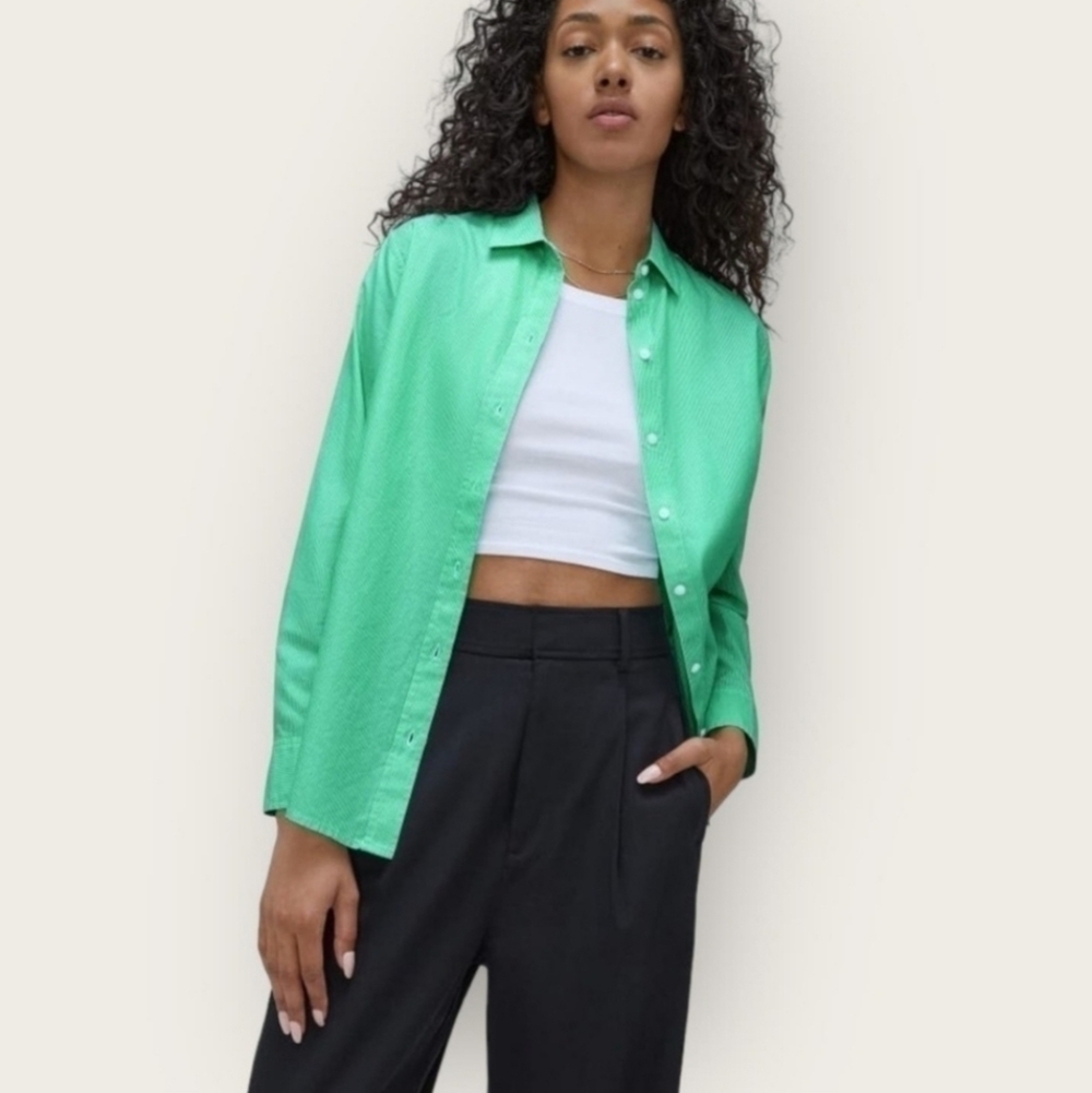 Everlane Oversized Button Down Shirt Mint NWT